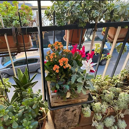 Semini Di Nostalgia Apartment *